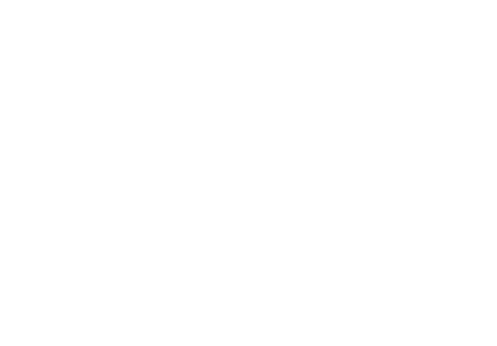 Privilège Signature 650 logo with abstract triangular design, highlighting luxury yacht branding.